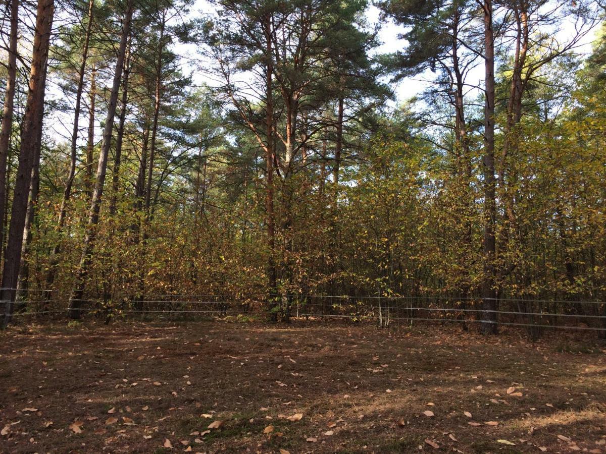 Chambre A La Campagne Chaumont-sur-Tharonne Exteriör bild